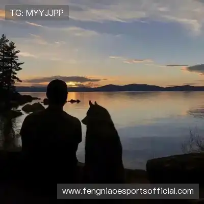顾枫昀